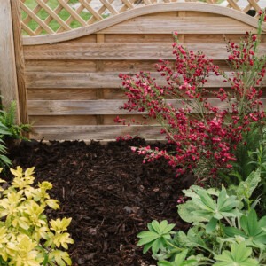 westland bed and border chipped bark in garden border