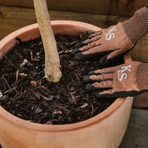 westland decorative mini bark close up someone putting it in a pot