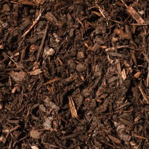 westland decorative mini bark close up in border