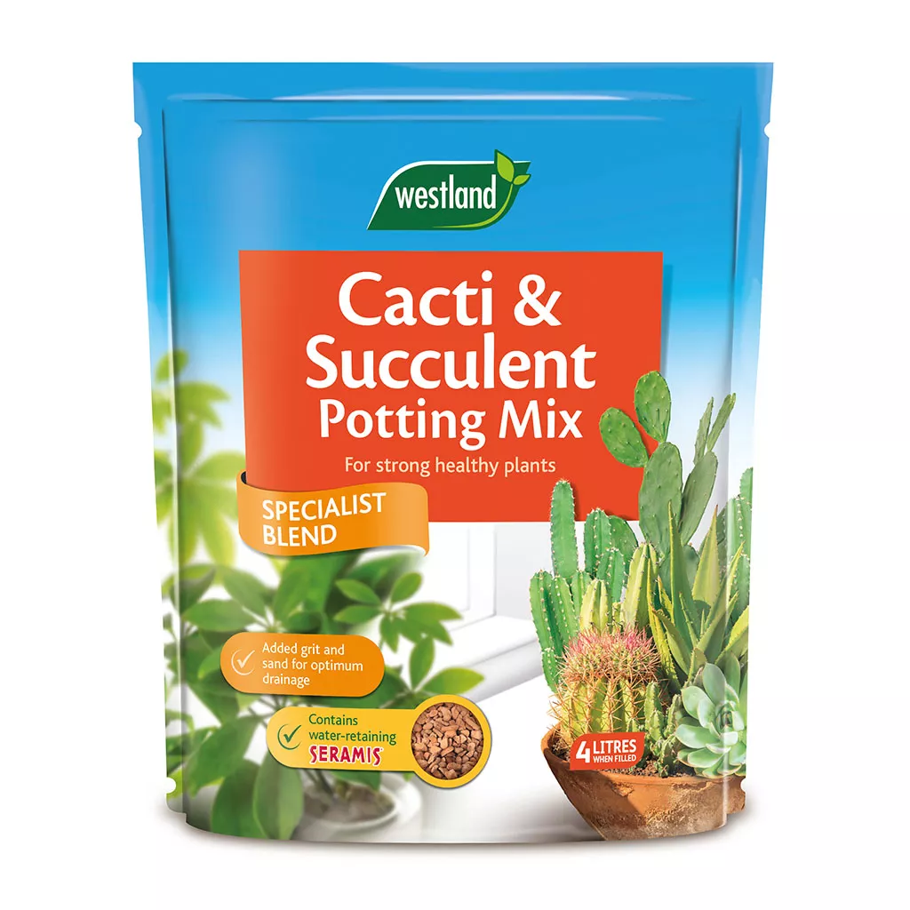 cacti potting mix