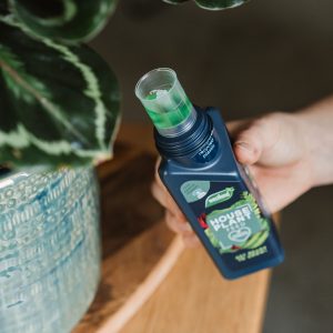 Westland Houseplant Feed with liquid