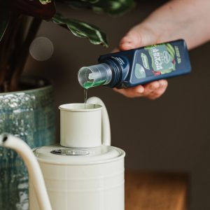 Westland Houseplant Feed poured into watering can