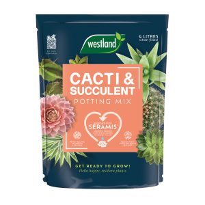 cacti and succulent 4litre
