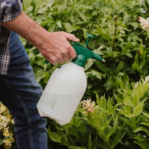 westland resolva bug killer concentrate