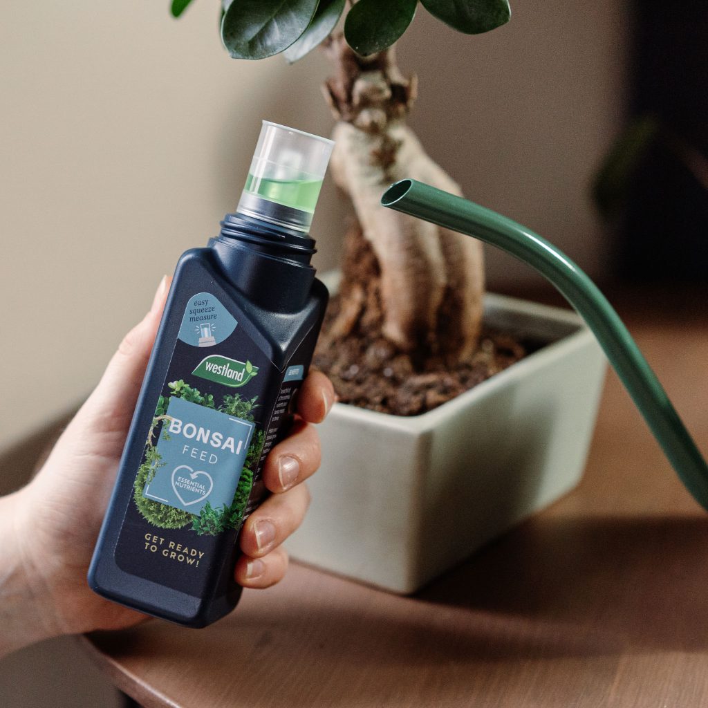 Westland Bonsai Feed Houseplant Care Westland Garden Health