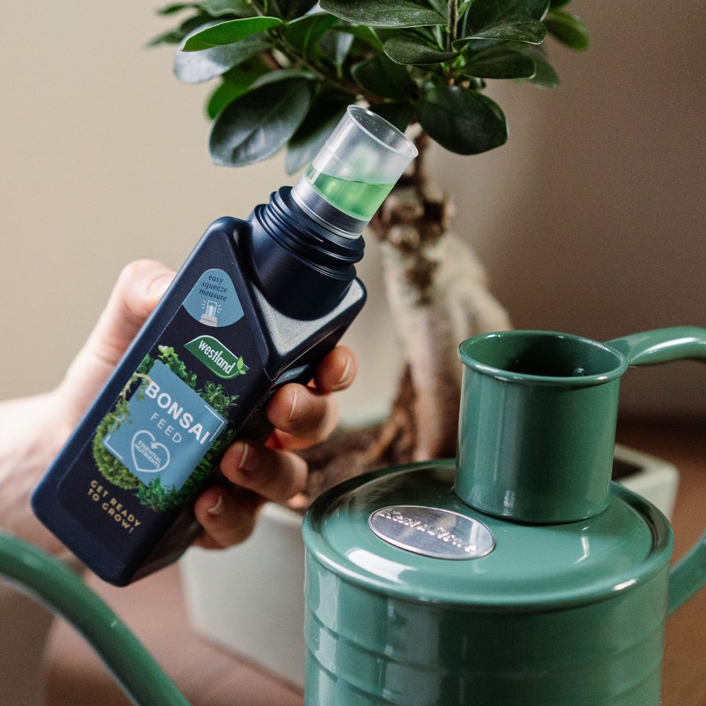 Westland Bonsai Feed Houseplant Care Westland Garden Health