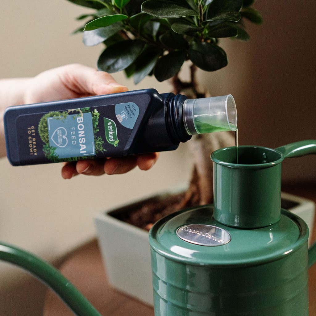 Westland Bonsai Feed Houseplant Care Westland Garden Health