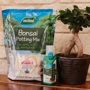bonsai potting mix and feed