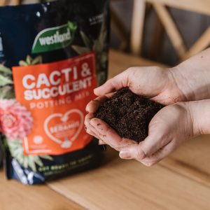 Person holding compost in hands