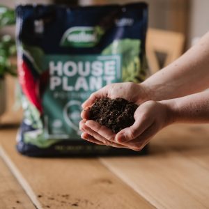 Westland Houseplant Potting Mix with person holding compost