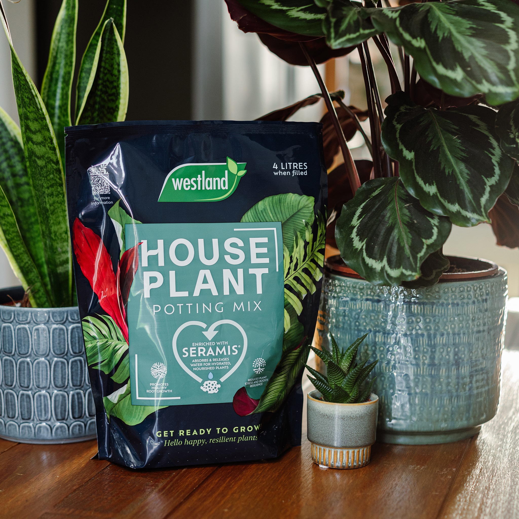 westland houseplant potting mix on table