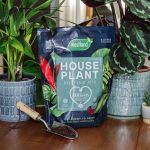 westland houseplant compost