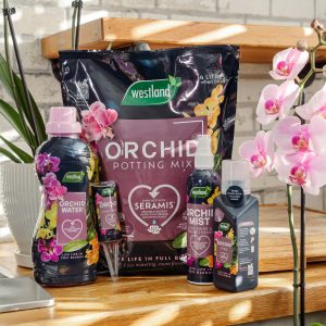 westland orchid range