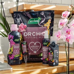 orchid range on shelf