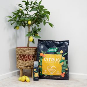 westland citrus feed next to citrus tree and compost