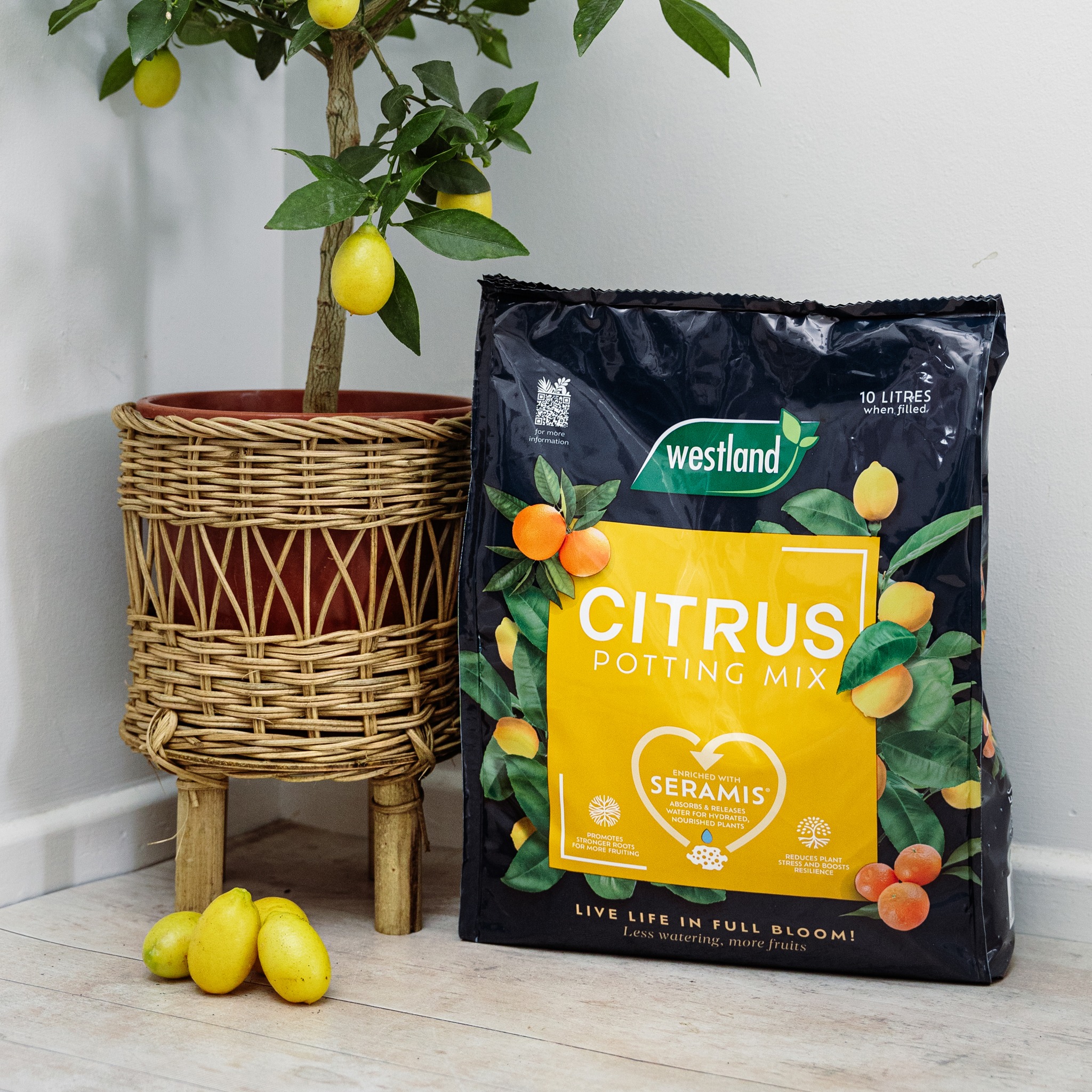 wesltand citrus potting mix 10L