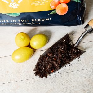 wesltand citrus potting mix on trowel