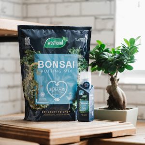 westland bonsai compost in kitchen