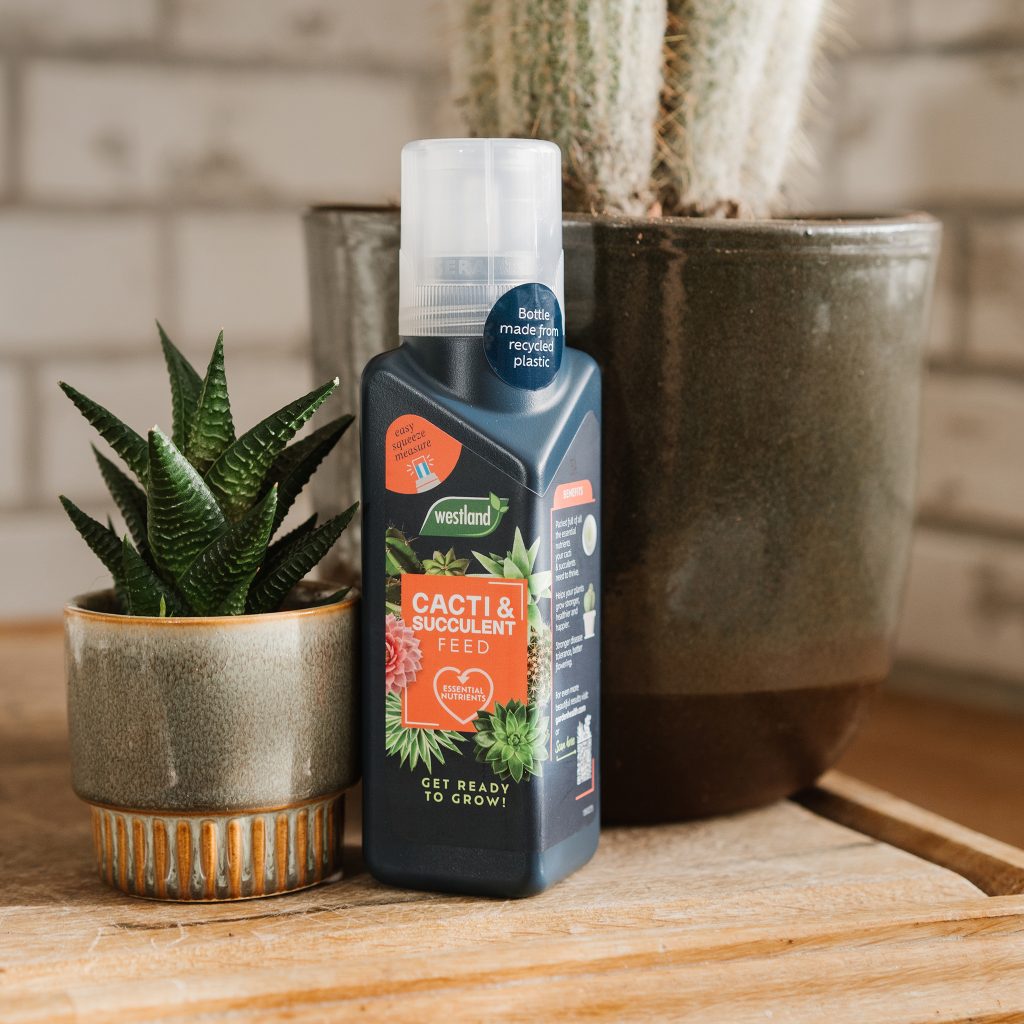 Westland Cacti & Succulent Feed Houseplant Care Garden Health