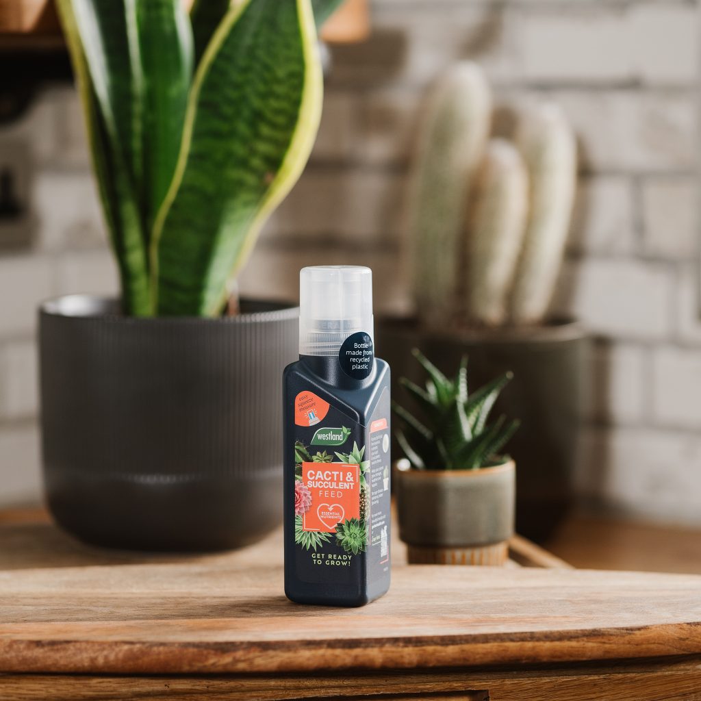 Westland Cacti & Succulent Feed Houseplant Care Garden Health