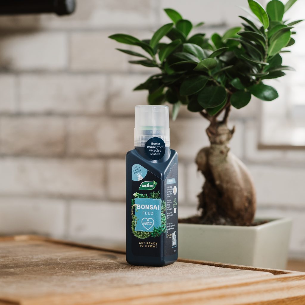 Westland Bonsai Feed Houseplant Care Westland Garden Health