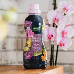 orchid water on shelf