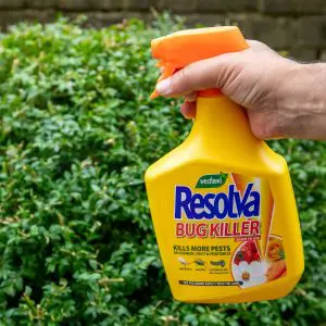 Resolva discount bug killer