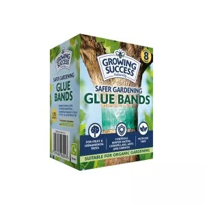 Growing Success Glue Bands