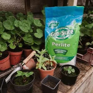 Gro-Sure Perlite