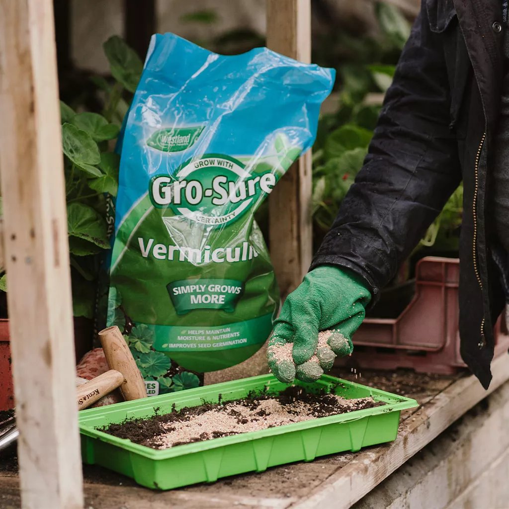 Gro-Sure Vermiculite sowing seeds