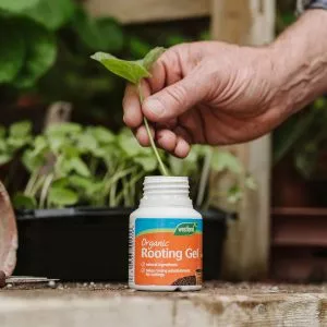 Westland Organic Rooting Gel