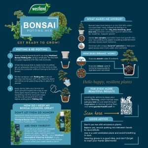 bonsai potting mix back of pack