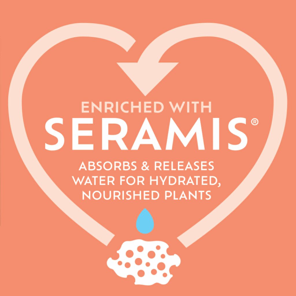 Westland Cacti & Succulent Potting Mix Houseplant Care Garden Health