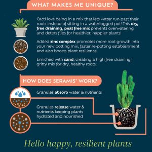 cacti and succulent why use