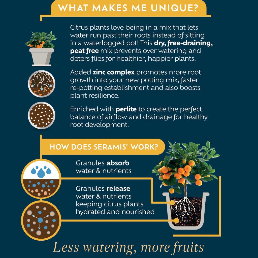 Westland Citrus Potting Mix Houseplant Care Westland Garden Health