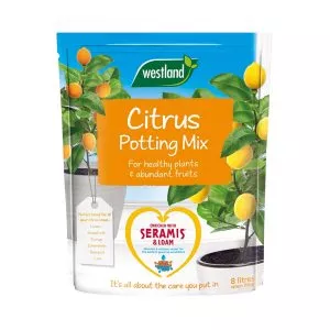 citrus potting mix