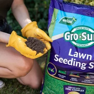 lawn seeding soil 25l in use