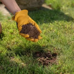 lawn seeding soil 25l in use