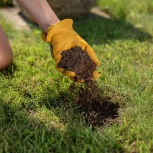 grosure lawn seeding soil in use