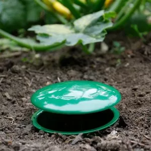 Growing Success Slug & Snail Trap in soil