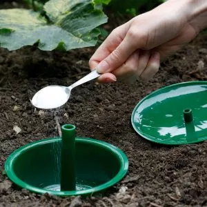 Growing Success Slug & Snail Trap in use