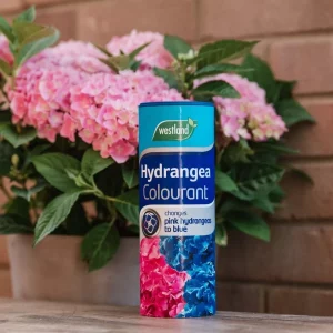 Westland Hydrangea Colourant