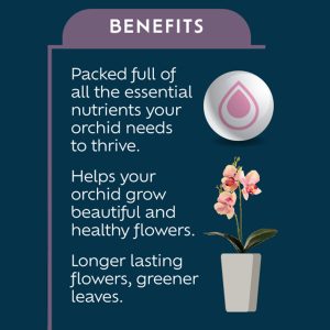 orchid feed back of pack benefits