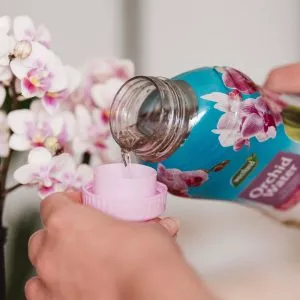 orchid water in use