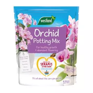 orchid potting mix peat free