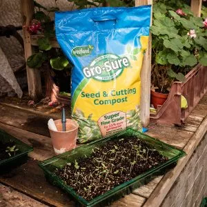 grosure seed and cutting compost 20l