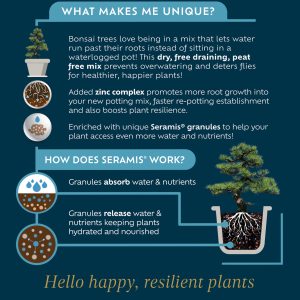 what makes bonsai unique