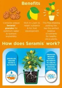 why use citrus potting mix