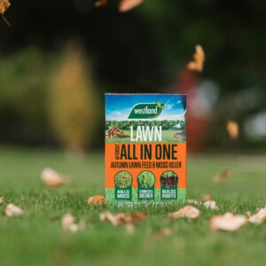 aftercut all in one autumn on grass with leaves