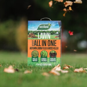 aftercut all in one autumn on grass with leaves